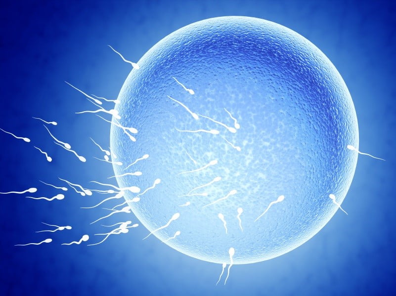 Let Z Urology Solve Your Male Infertility Issues