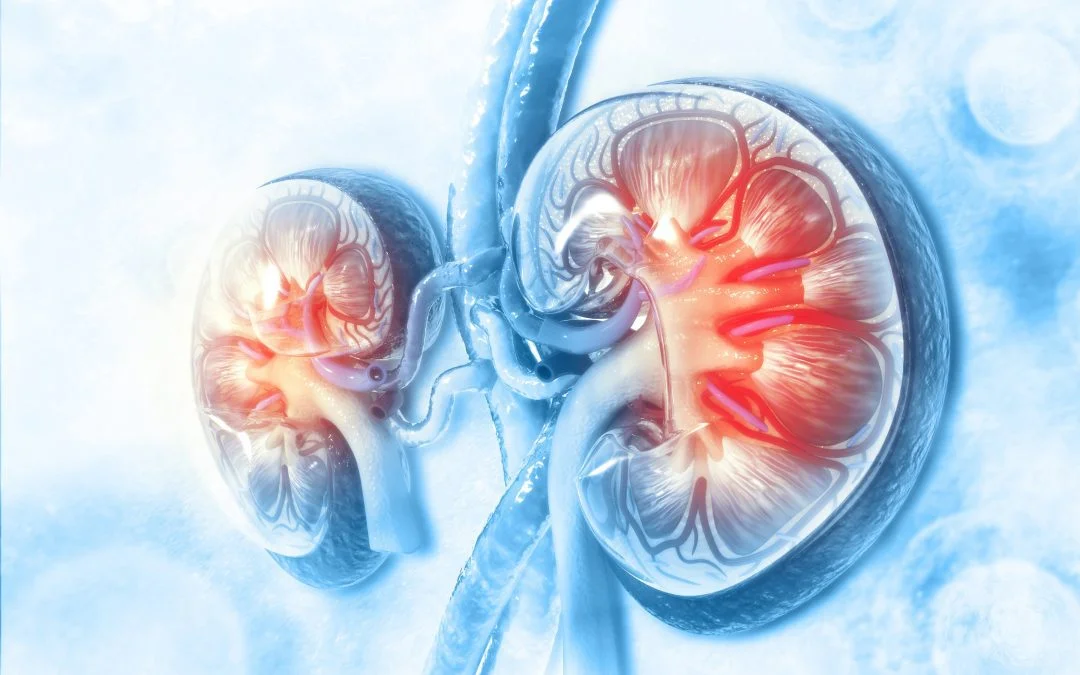 Exploring Treatments of Kidney Cancer