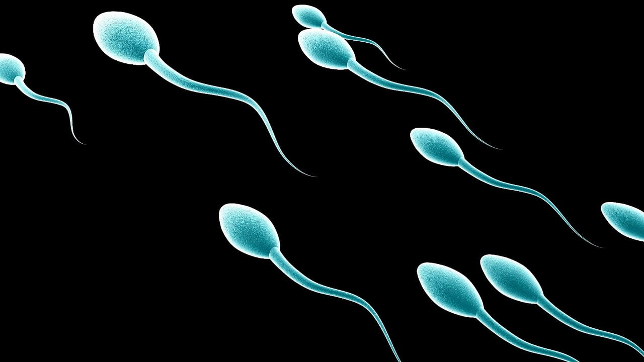Five Ways to Boost Male Fertility & Sperm Count - Z Urology