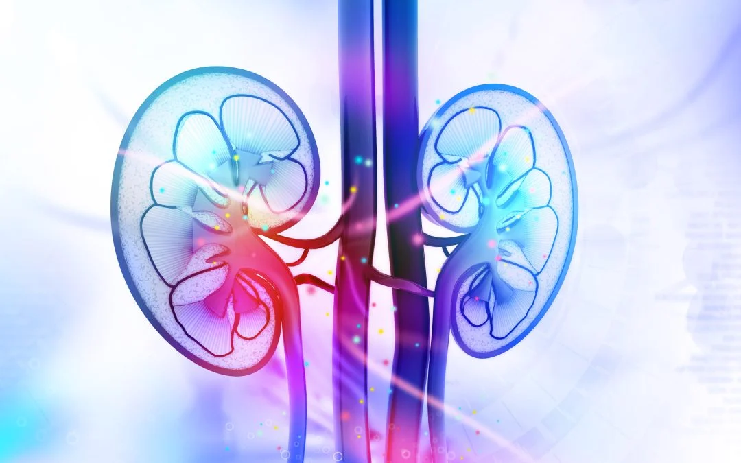 What to Know About Nephrectomies