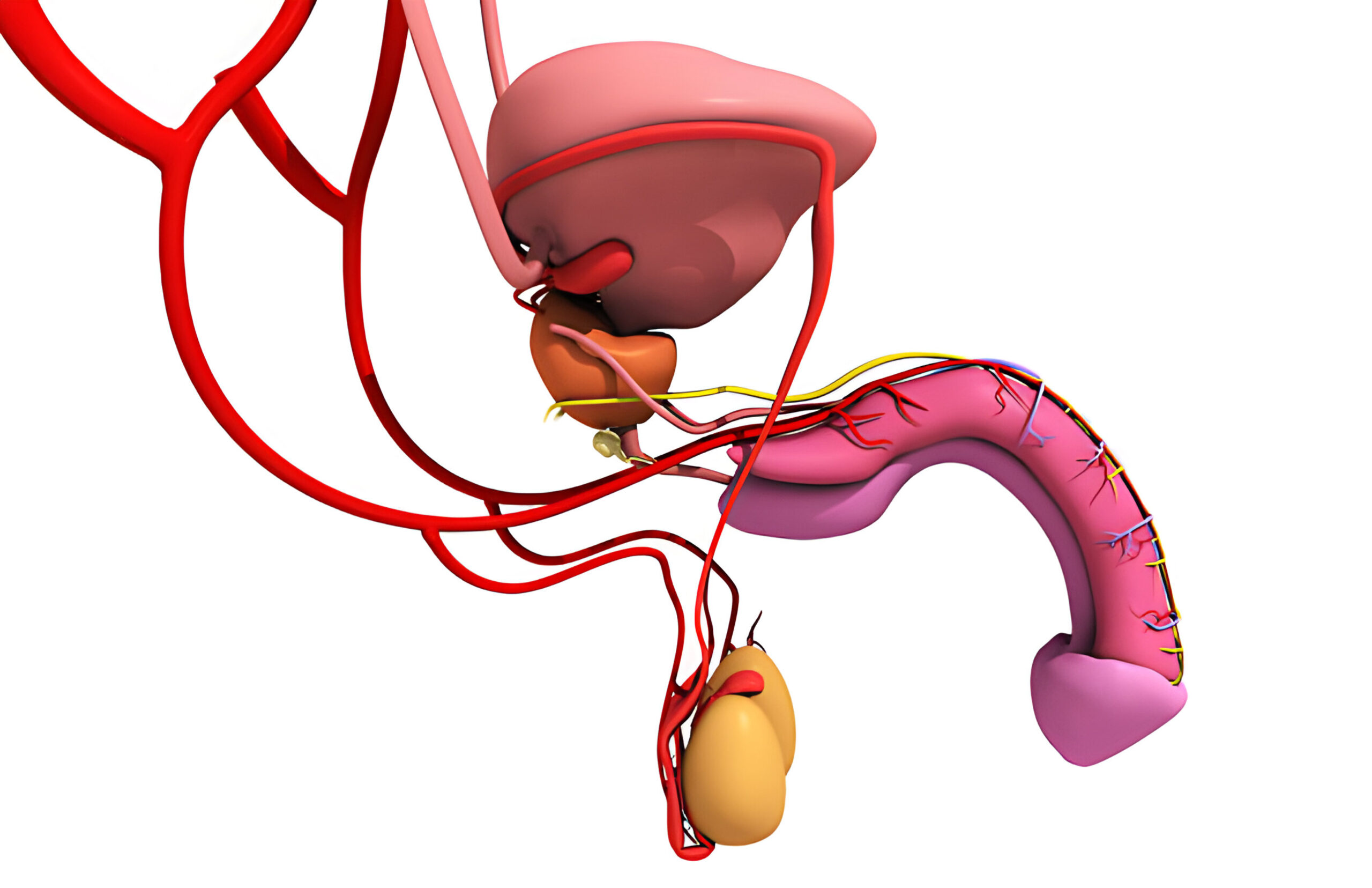 How Effective is Sacral Neuromodulation?